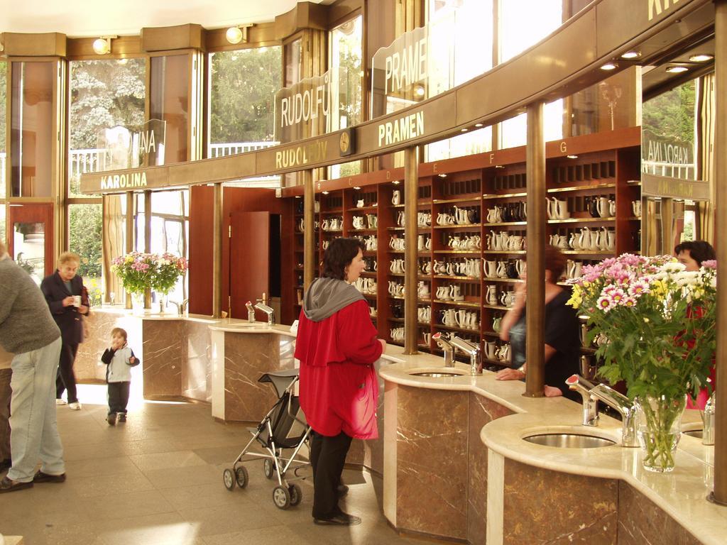Apartma La Provence Mariánské Lázně Dış mekan fotoğraf